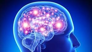 Alzheimer's Linx - Alzheimer's-associated Immune Reactivity (Includes Doctor's Consultation on All Test Results)